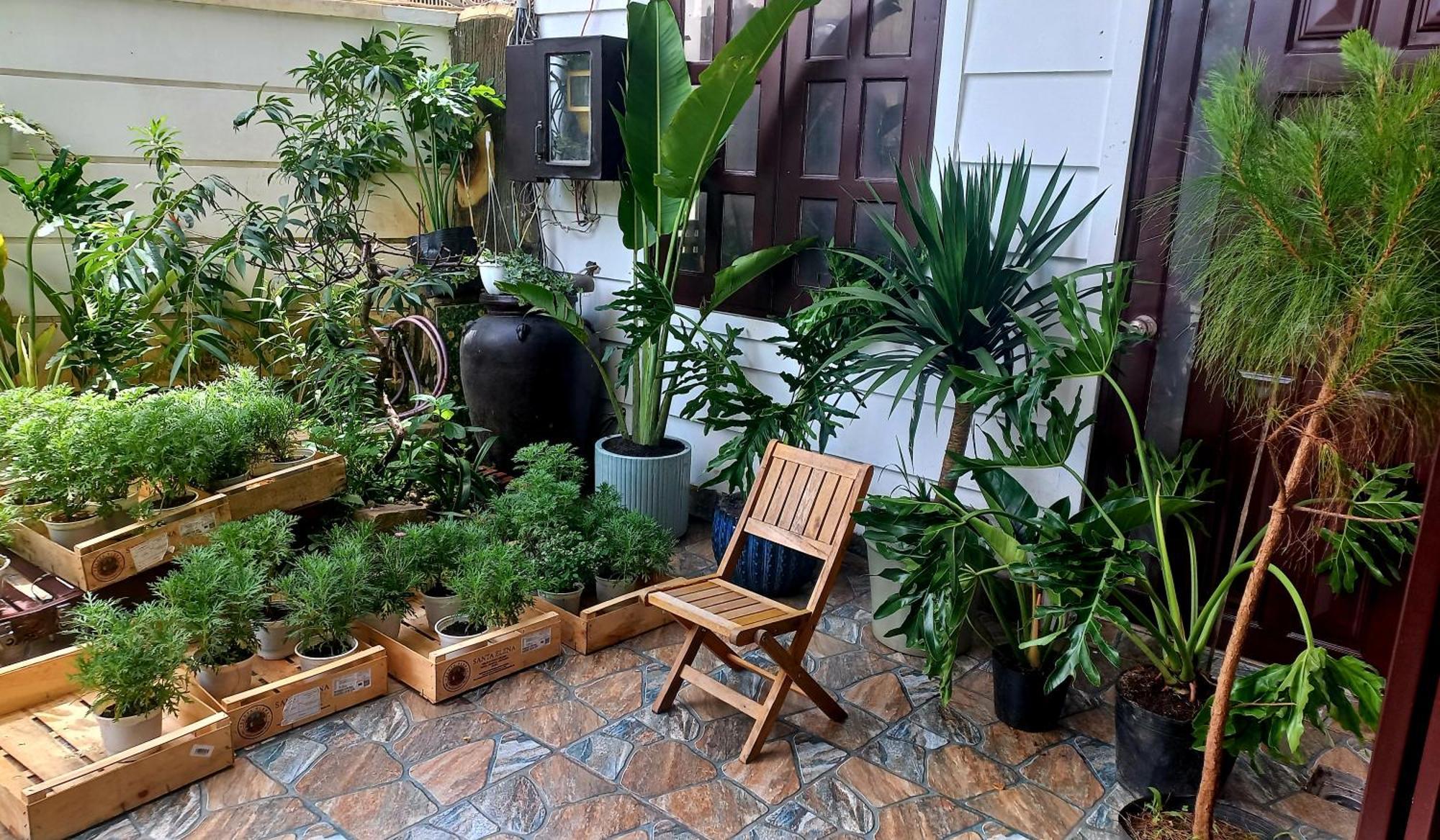 Wasabi House - Homestay Ben Cho ดาลัด ภายนอก รูปภาพ