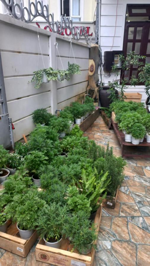 Wasabi House - Homestay Ben Cho ดาลัด ภายนอก รูปภาพ