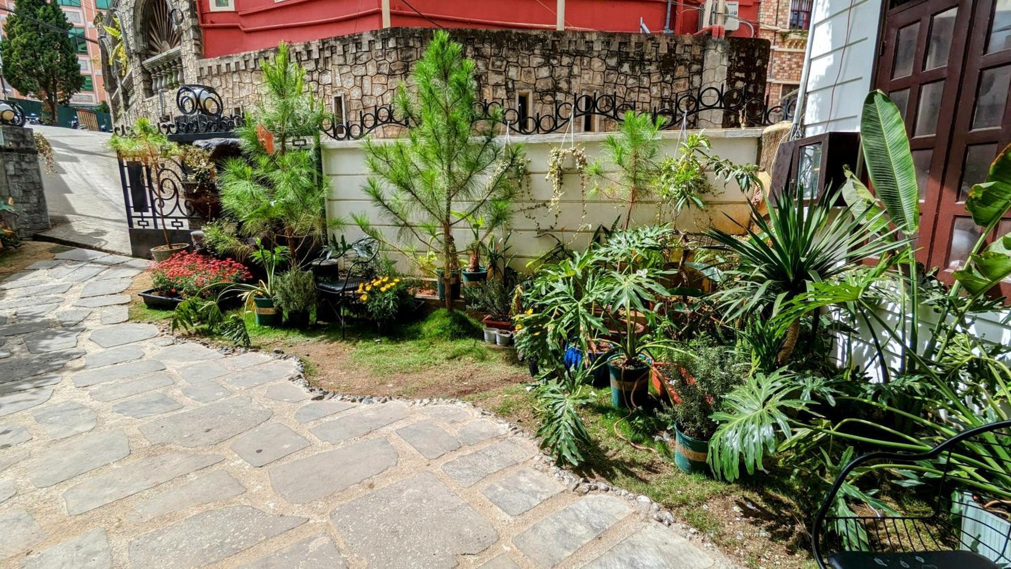 Wasabi House - Homestay Ben Cho ดาลัด ภายนอก รูปภาพ