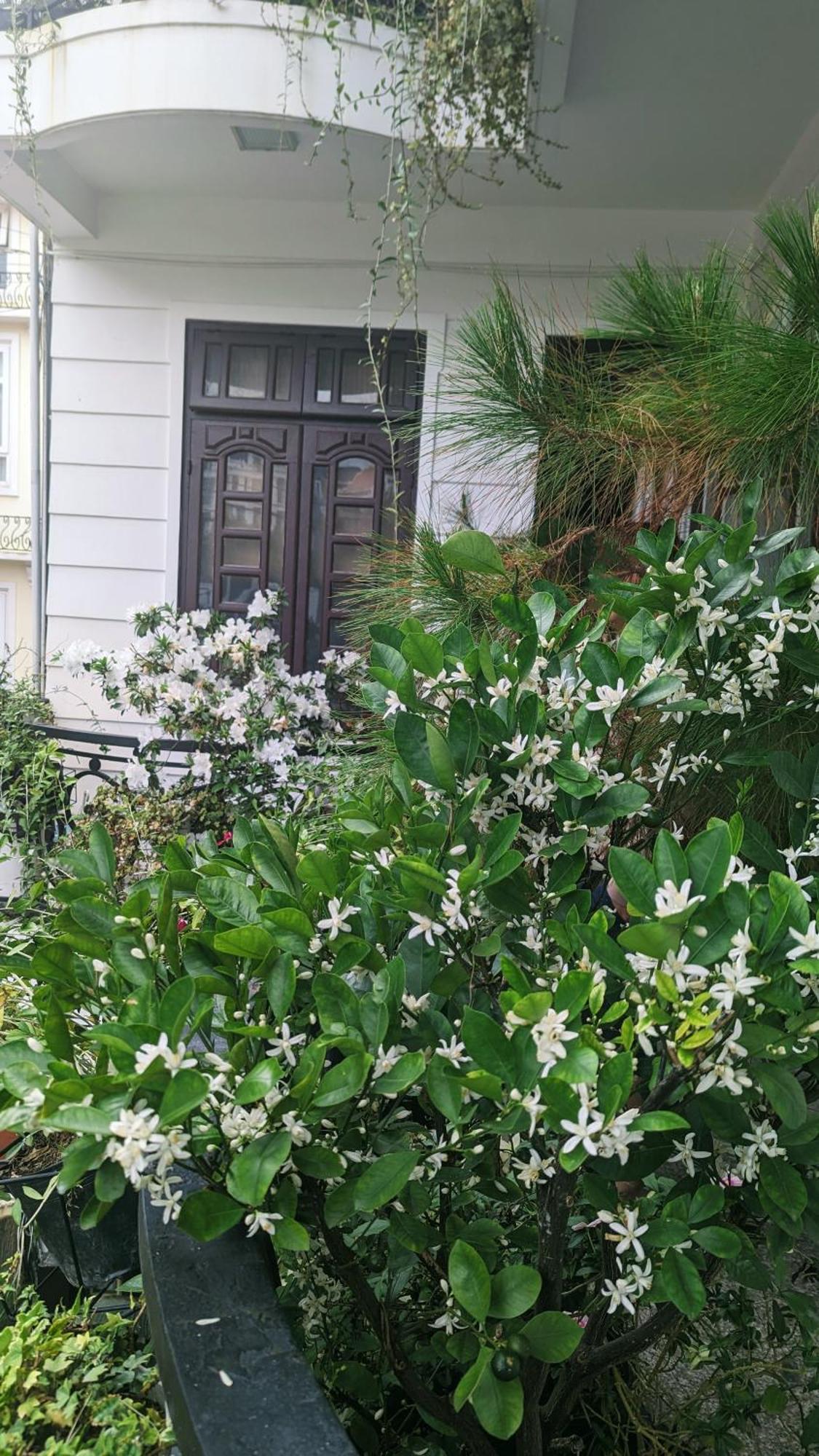 Wasabi House - Homestay Ben Cho ดาลัด ภายนอก รูปภาพ