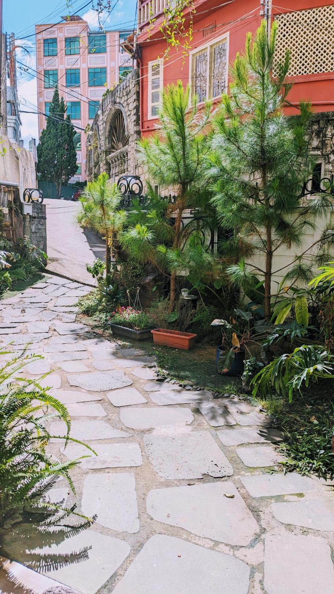 Wasabi House - Homestay Ben Cho ดาลัด ภายนอก รูปภาพ